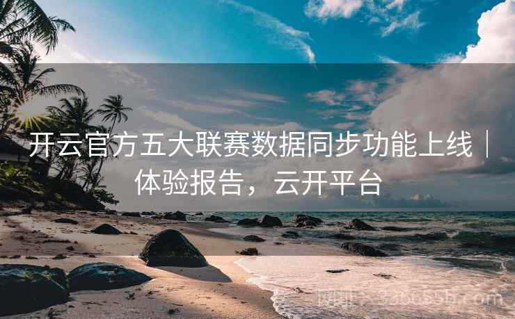 开云官方五大联赛数据同步功能上线｜体验报告，云开平台